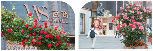 KS凯时·(中国区)官方网站