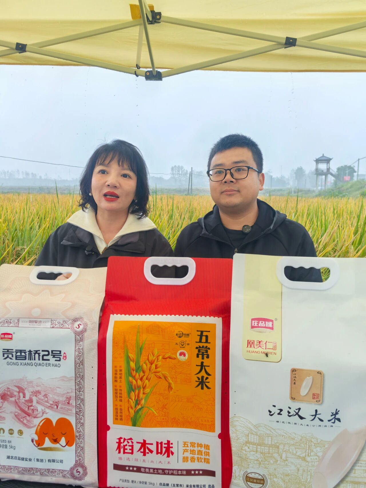 KS凯时·(中国区)官方网站